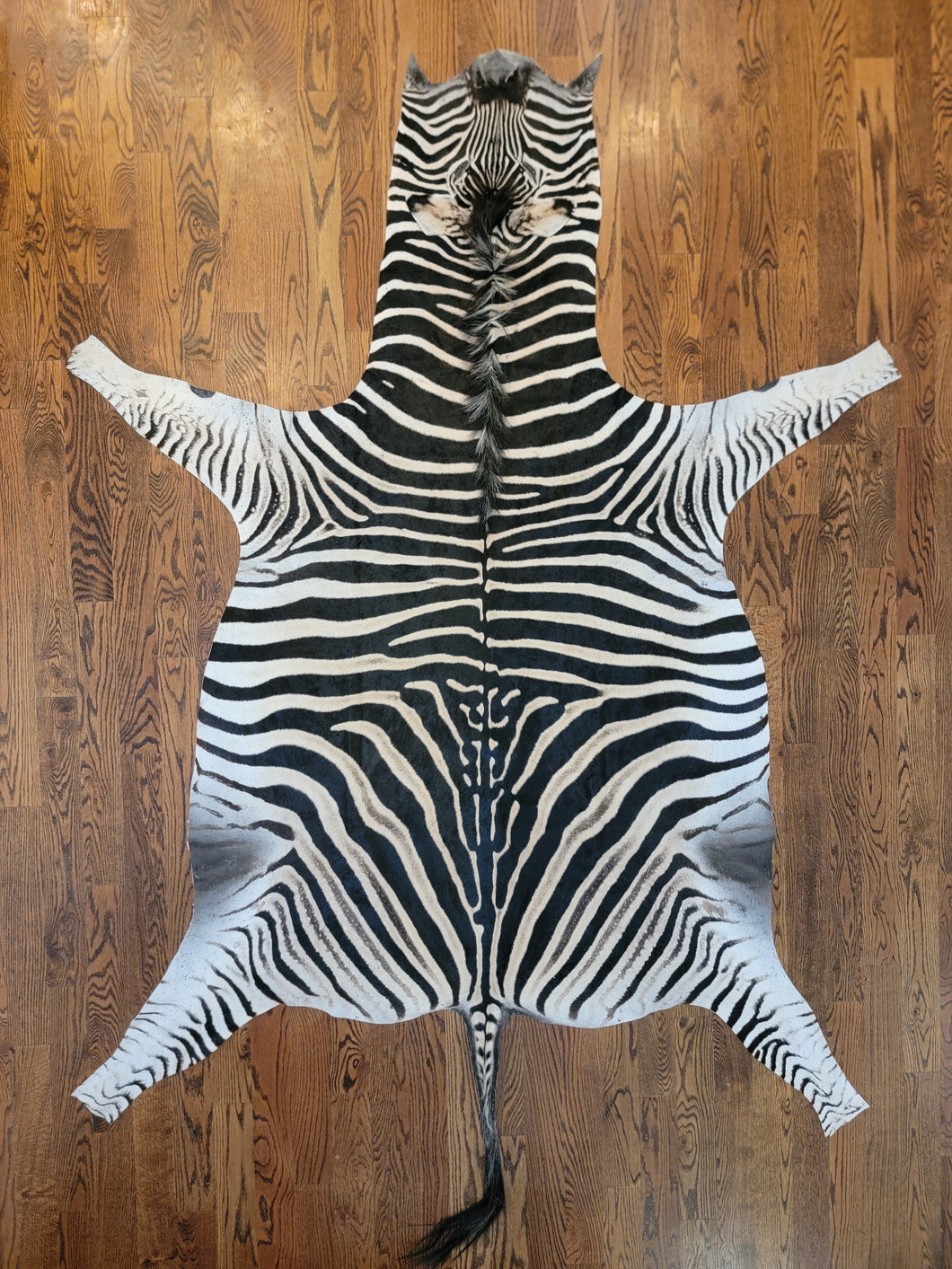 AA Grade Zebra Hide Rug [AA90]