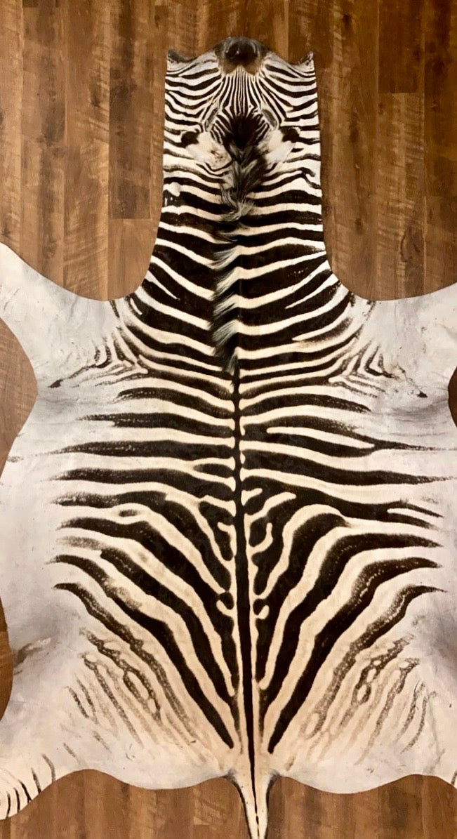 AA Grade Zebra Hide Rug [AA602]