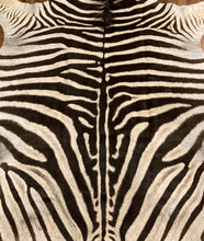 Load image into Gallery viewer, B Grade Zebra Hide Rug (B9)
