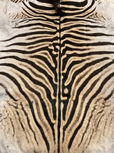 Load image into Gallery viewer, B Grade Zebra Hide Rug [B13]
