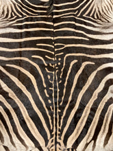 Load image into Gallery viewer, B Grade Zebra Hide Rug
