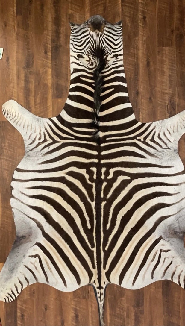 B Grade Zebra Hide Rug [B7]