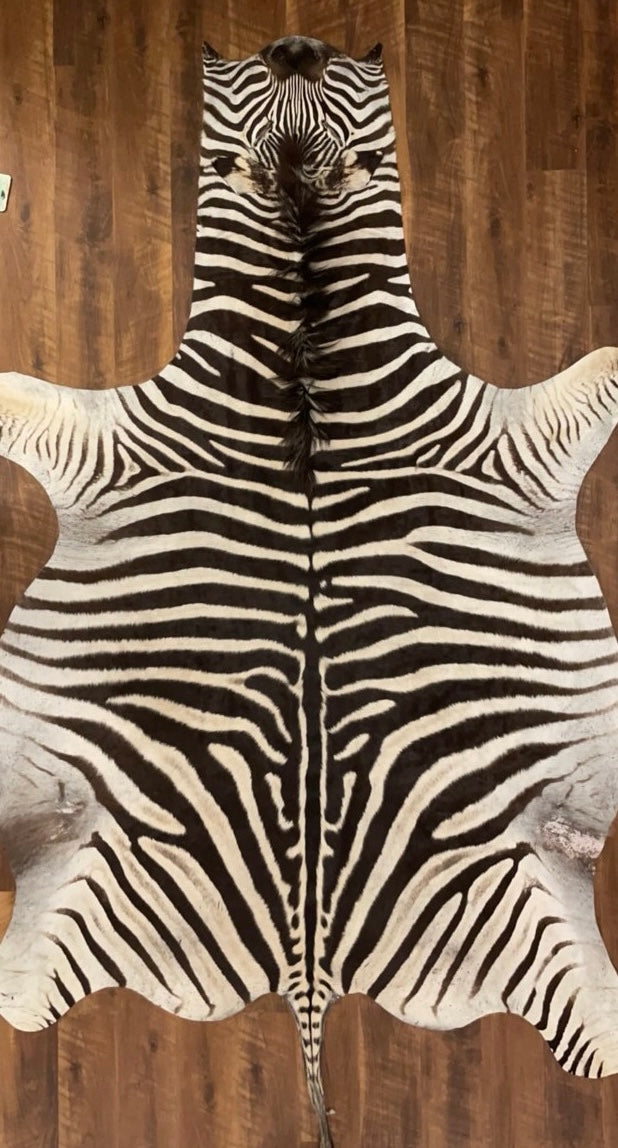 B Grade Zebra Hide Rug (B9)