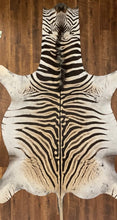 Load image into Gallery viewer, B Grade Zebra Hide Rug [B13]
