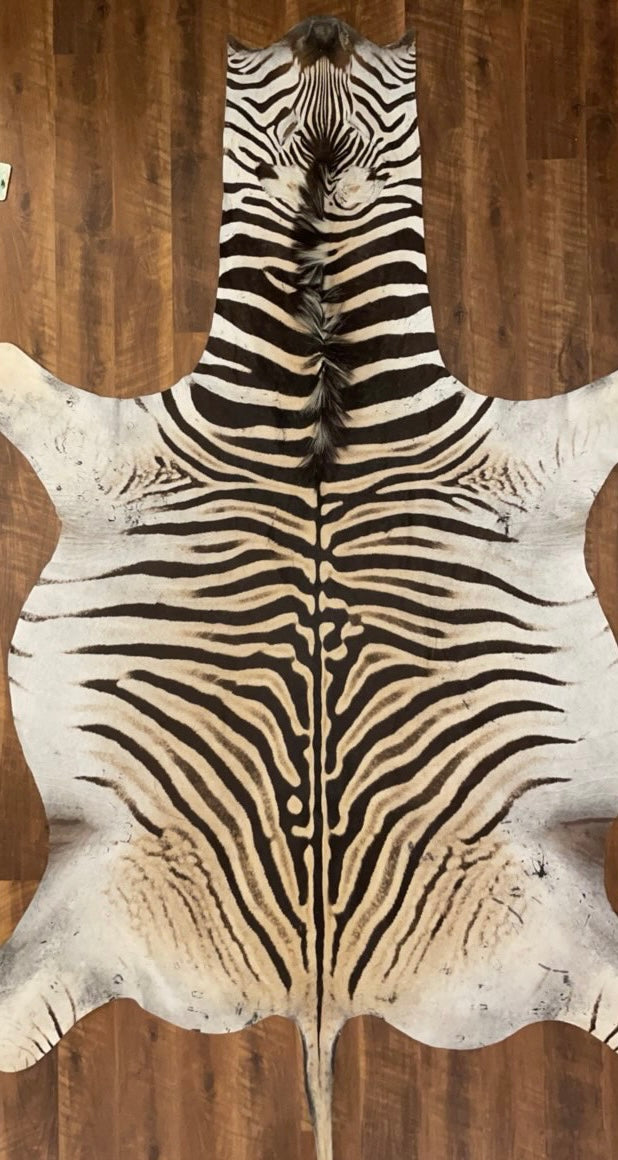 B Grade Zebra Hide Rug [B13]