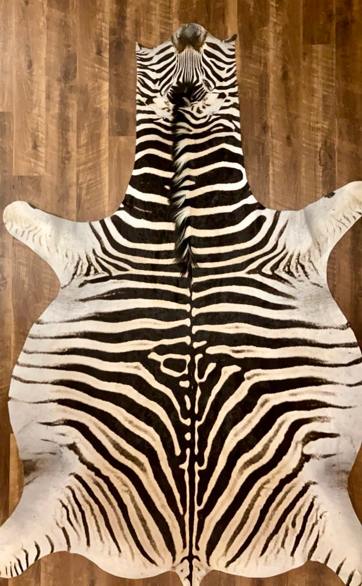 AA Grade Zebra Hide Rug [AA610]