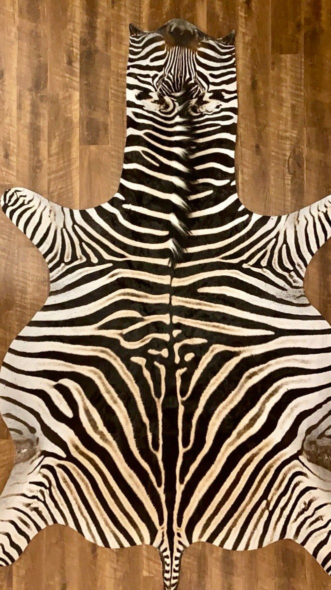 AA Grade Zebra Hide Rug [AA205]