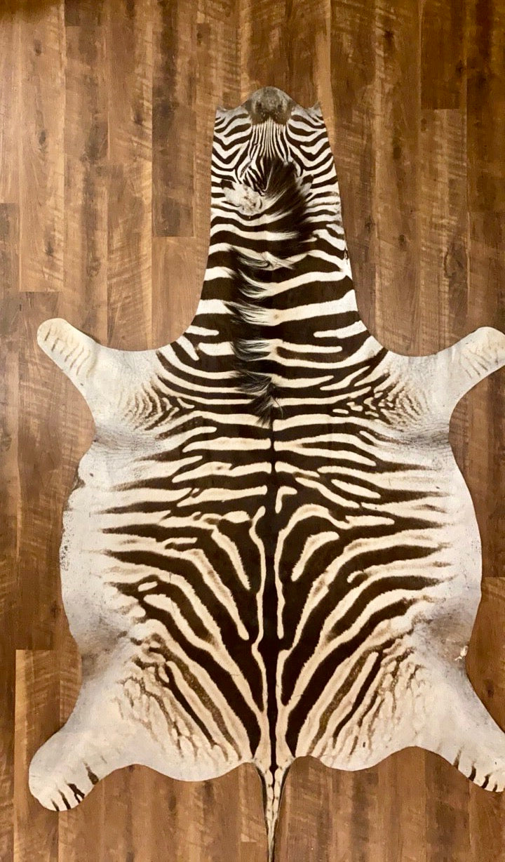 B Grade Zebra Hide Rug [B129]