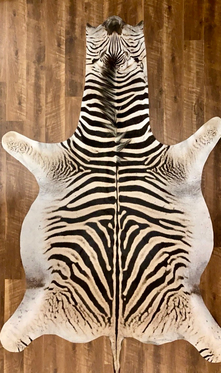 B Grade Zebra Hide Rug [B115]