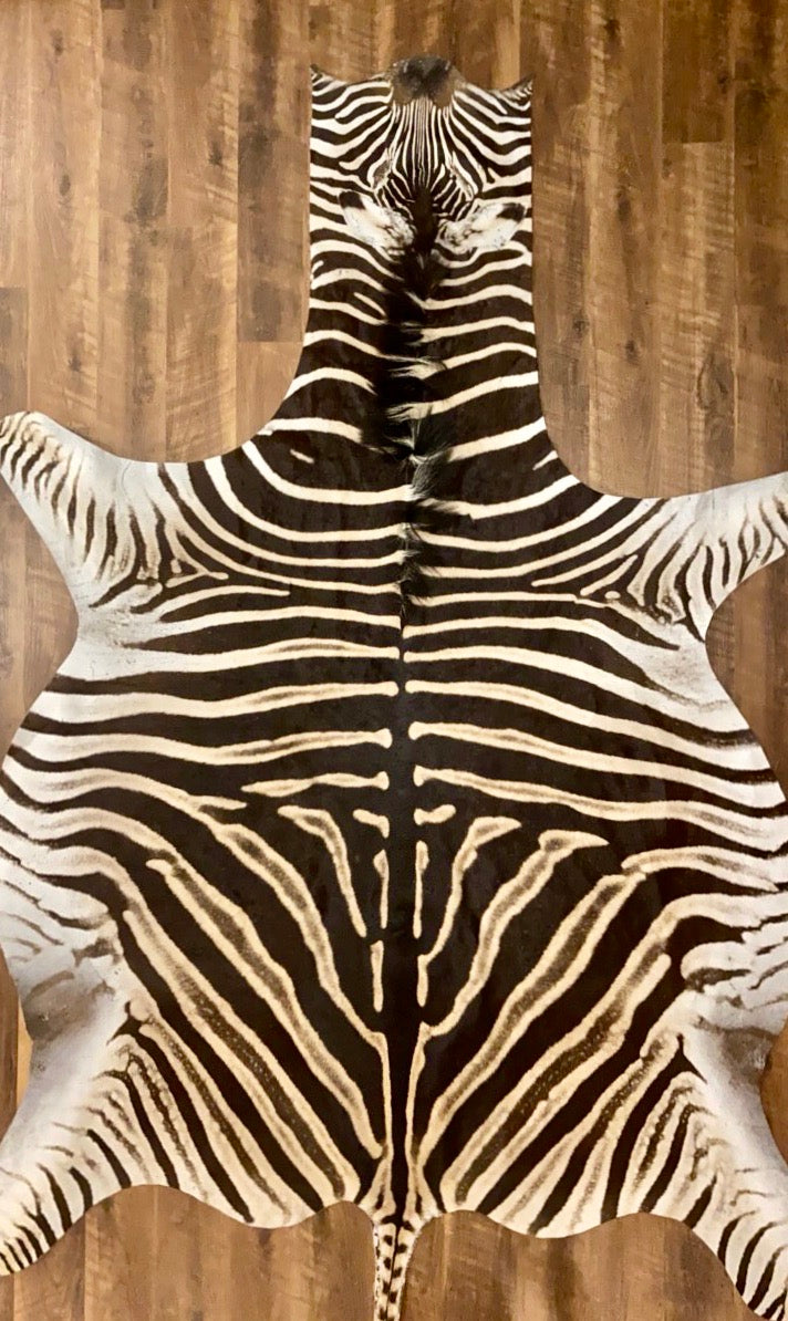 AA Grade Zebra Hide Rug [AA202]