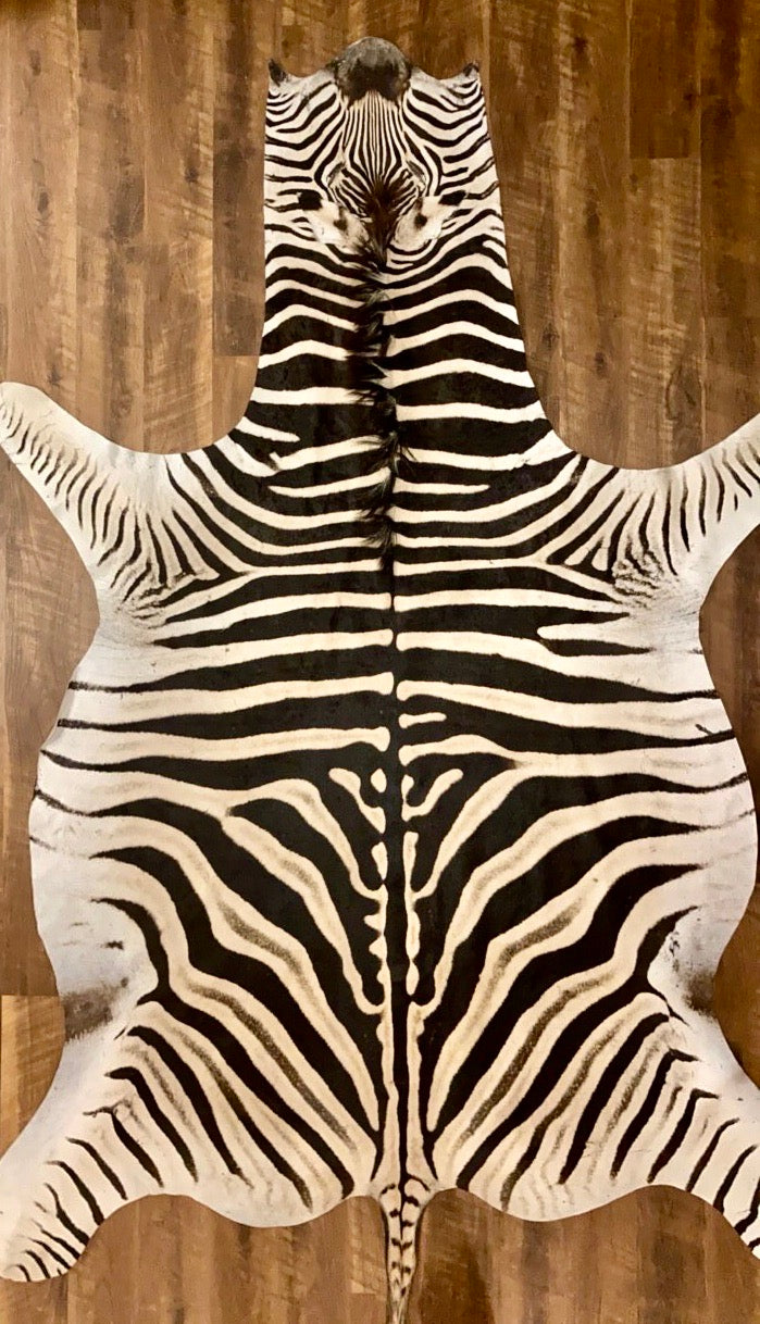 AA Grade Zebra Hide Rug [AA204]